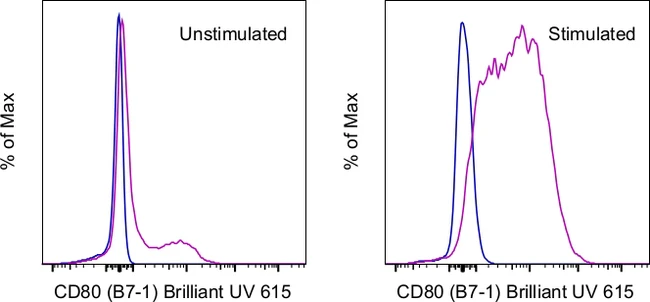 CD80 (B7-1) Monoclonal Antibody (16-10A1), Brilliant Ultra Violet 615, eBioscience