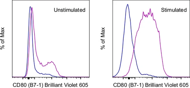 CD80 (B7-1) Monoclonal Antibody (16-10A1), Brilliant Violet 605, eBioscience