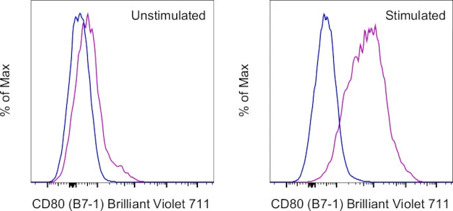 CD80 (B7-1) Monoclonal Antibody (16-10A1), Brilliant Violet 711, eBioscience