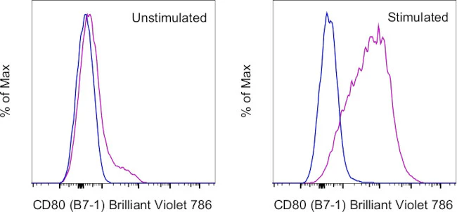 CD80 (B7-1) Monoclonal Antibody (16-10A1), Brilliant Violet 786, eBioscience