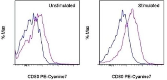 CD80 (B7-1) Monoclonal Antibody (16-10A1), PE-Cyanine7, eBioscience