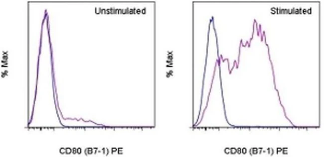 CD80 (B7-1) Monoclonal Antibody (16-10A1), PE, eBioscience