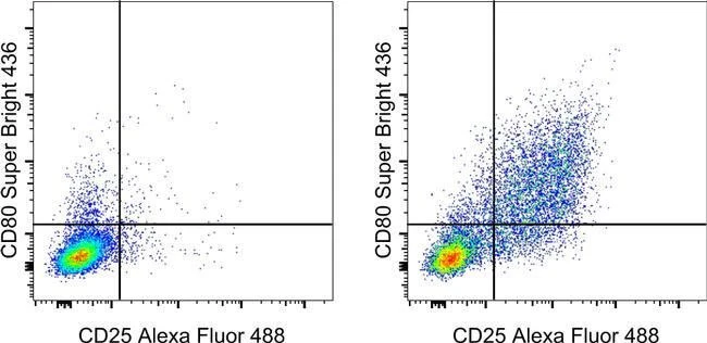 CD80 (B7-1) Monoclonal Antibody (16-10A1), Super Bright™ 436, eBioscience™