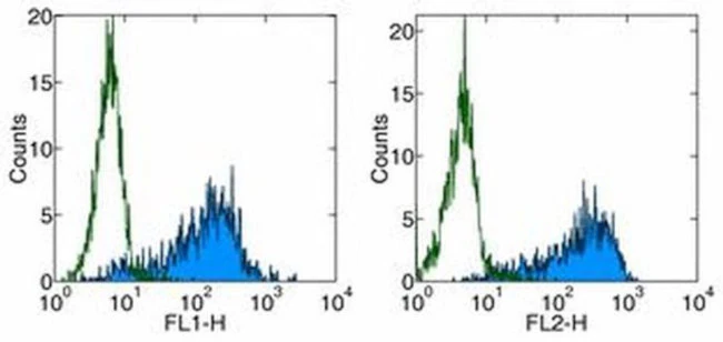 CD86 (B7-2) Monoclonal Antibody (24F), PE, eBioscience