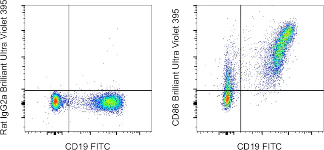 CD86 (B7-2) Monoclonal Antibody (GL1), Brilliant Ultra Violet 395, eBioscience