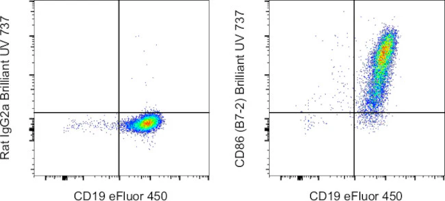 CD86 (B7-2) Monoclonal Antibody (GL1), Brilliant Ultra Violet™ 737