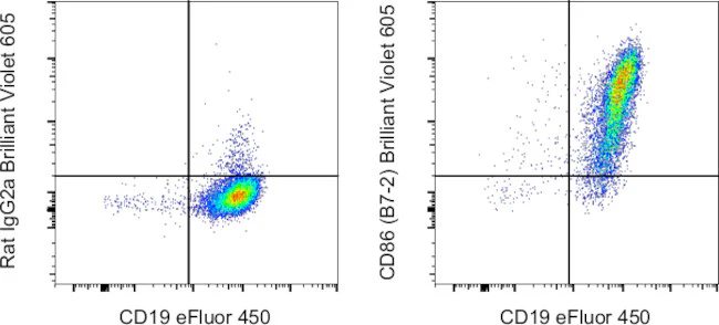 CD86 (B7-2) Monoclonal Antibody (GL1), Brilliant Violet 605, eBioscience