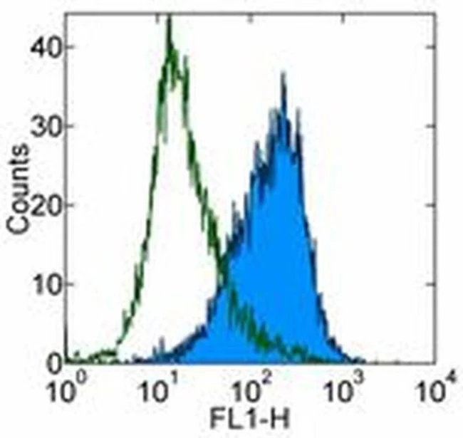CD86 (B7-2) Monoclonal Antibody (GL1), eBioscience