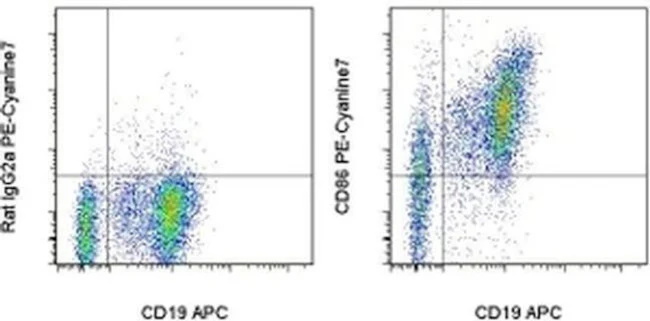 CD86 (B7-2) Monoclonal Antibody (GL1), PE-Cyanine7, eBioscience