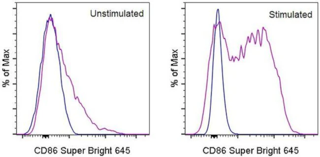 CD86 (B7-2) Monoclonal Antibody (GL1), Super Bright 645, eBioscience