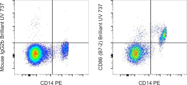 CD86 (B7-2) Monoclonal Antibody (IT2.2), Brilliant Ultra Violet™ 737