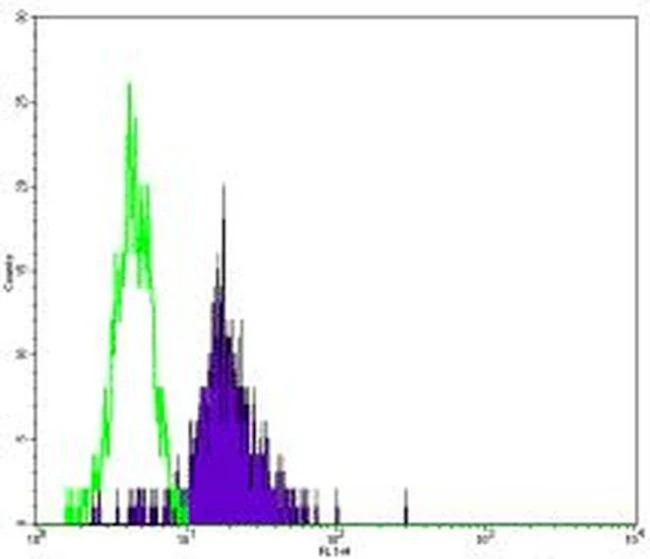 CD86 (B7-2) Monoclonal Antibody (IT2.2), eBioscience