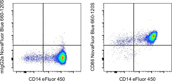 CD86 (B7-2) Monoclonal Antibody (IT2.2), NovaFluor™ Blue 660-120S