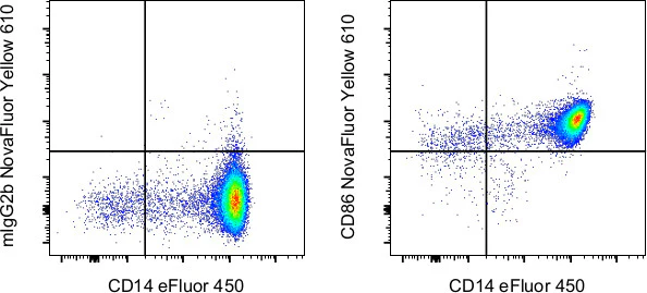 CD86 (B7-2) Monoclonal Antibody (IT2.2), NovaFluor™ Yellow 610