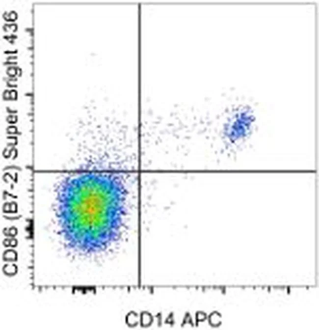 CD86 (B7-2) Monoclonal Antibody (IT2.2), Super Bright™ 436, eBioscience™