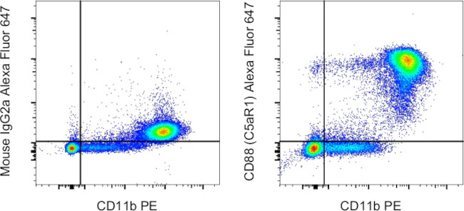 CD88 (C5aR1) Monoclonal Antibody (S5/1), Alexa Fluor 647, eBioscience