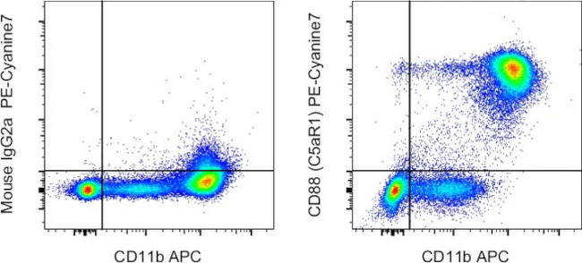 CD88 (C5aR1) Monoclonal Antibody (S5/1), PE-Cyanine7, eBioscience
