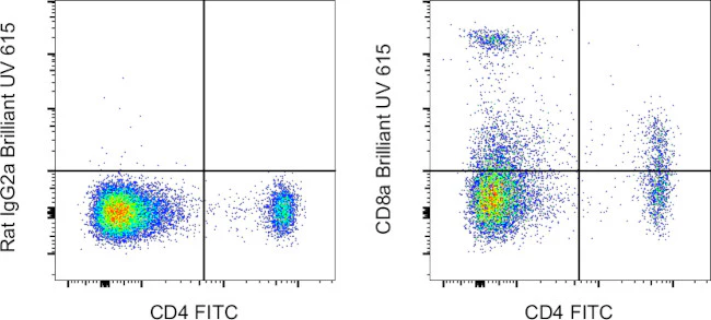CD8a Monoclonal Antibody (53-6.7), Brilliant Ultra Violet™ 615, eBioscience™