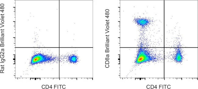 CD8a Monoclonal Antibody (53-6.7), Brilliant Violet™ 480, eBioscience™
