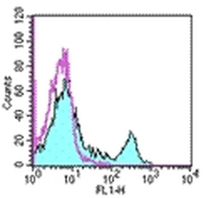 CD8a Monoclonal Antibody (53-6.7), eBioscience