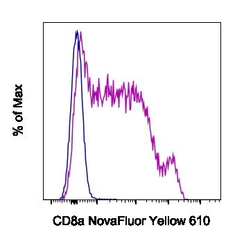 CD8a Monoclonal Antibody (53-6.7), NovaFluor™ Yellow 610