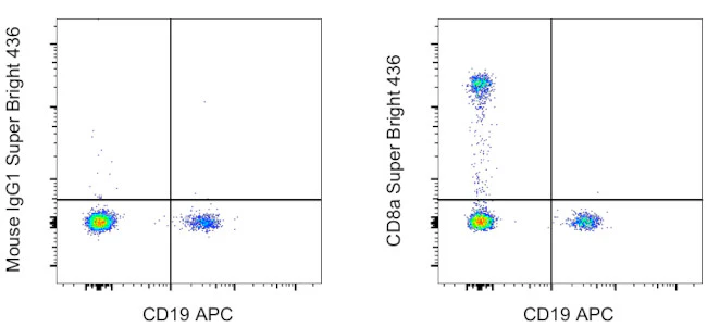 CD8a Monoclonal Antibody (HIT8a), Super Bright 436, eBioscience