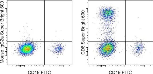 CD8a Monoclonal Antibody (OKT8 (OKT-8)), Super Bright™ 600