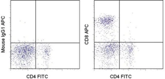 CD8a Monoclonal Antibody (OX8), APC, eBioscience