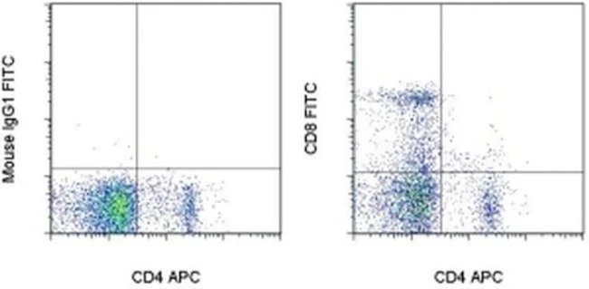 CD8a Monoclonal Antibody (OX8), FITC, eBioscience