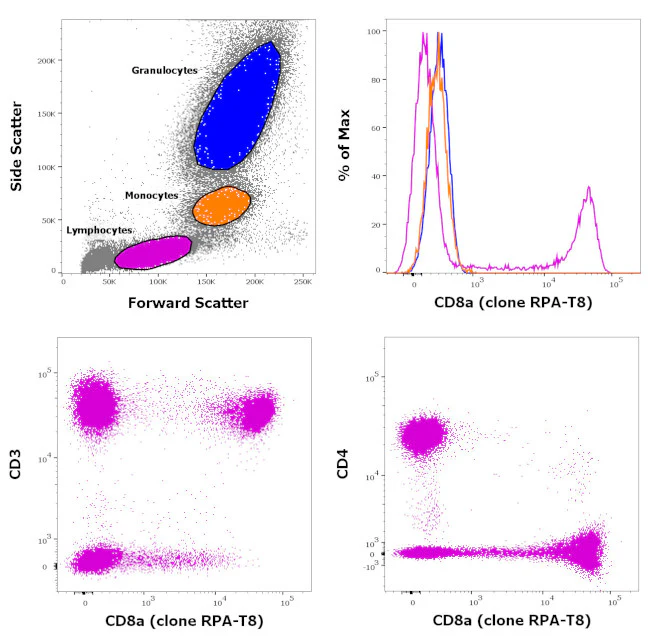CD8a Monoclonal Antibody (RPA-T8), PE, eBioscience