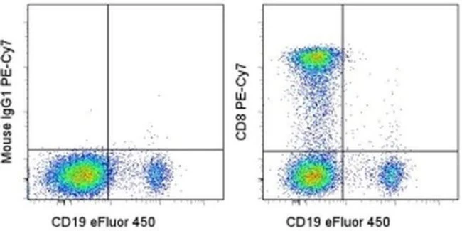 CD8a Monoclonal Antibody (SK1), PE-Cyanine7, eBioscience