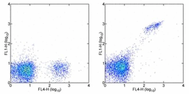 CD8b Monoclonal Antibody (eBioH35-17.2 (H35-17.2)), Alexa Fluor 488, eBioscience