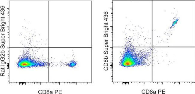CD8b Monoclonal Antibody (eBioH35-17.2 (H35-17.2)), Super Bright 436, eBioscience