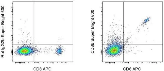 CD8b Monoclonal Antibody (eBioH35-17.2 (H35-17.2)), Super Bright 600, eBioscience