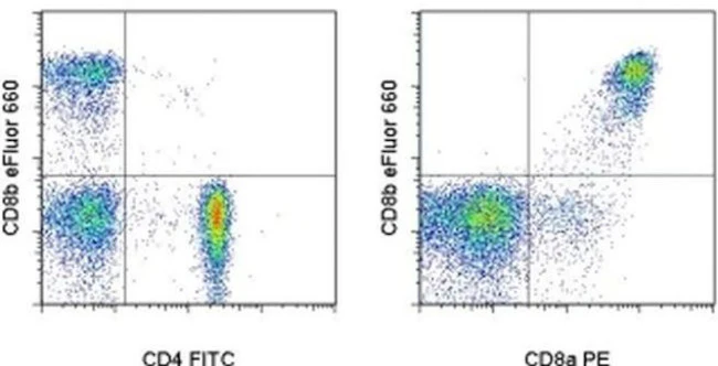 CD8b Monoclonal Antibody (SIDI8BEE), eFluor 660, eBioscience
