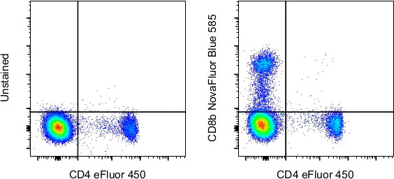 CD8b Monoclonal Antibody (SIDI8BEE), NovaFluor™ Blue 585