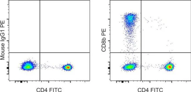CD8b Monoclonal Antibody (SIDI8BEE), PE, eBioscience