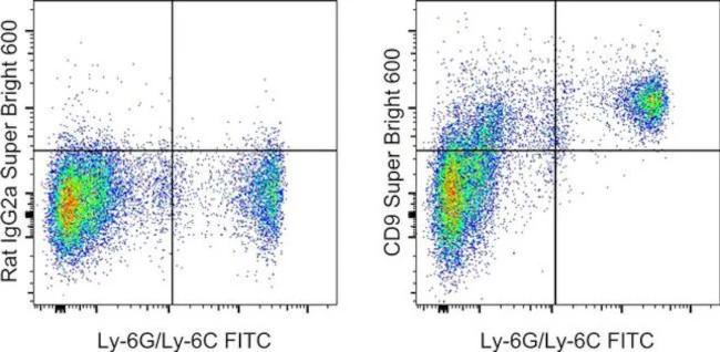 CD9 Monoclonal Antibody (eBioKMC8 (KMC8)), Super Bright 600, eBioscience