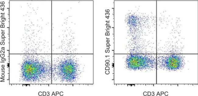 CD90.1 (Thy-1.1) Monoclonal Antibody (HIS51), Super Bright 436, eBioscience