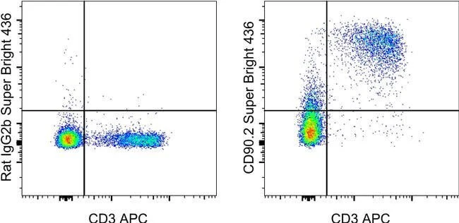 CD90.2 (Thy-1.2) Monoclonal Antibody (30-H12), Super Bright™ 436, eBioscience™