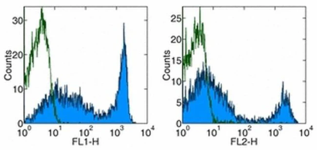 CD90.2 (Thy-1.2) Monoclonal Antibody (53-2.1), eBioscience