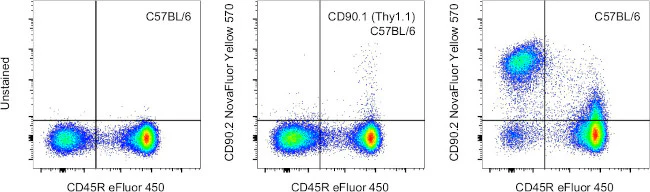 CD90.2 (Thy-1.2) Monoclonal Antibody (53-2.1), NovaFluor Yellow 570, eBioscience