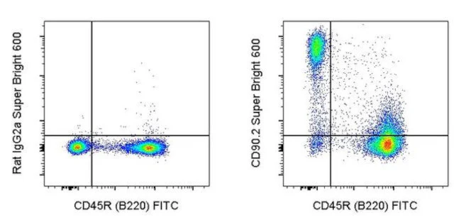 CD90.2 (Thy-1.2) Monoclonal Antibody (53-2.1), Super Bright 600, eBioscience
