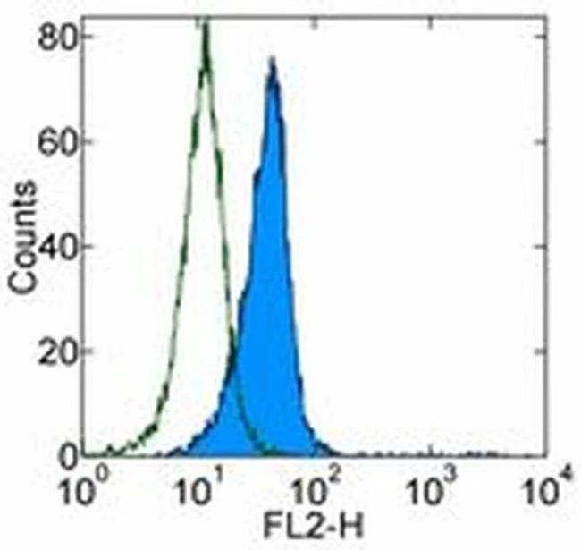 CD90 (Thy-1) Monoclonal Antibody (eBio5E10 (5E10)), Biotin, eBioscience