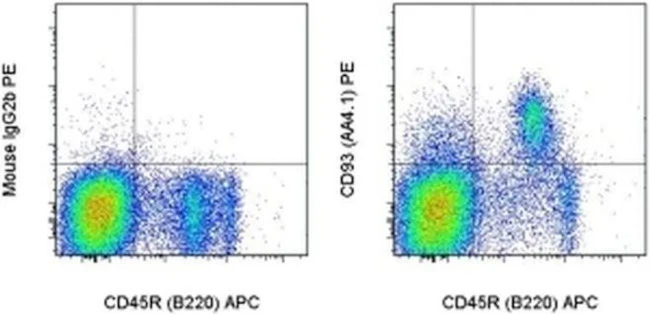 CD93 (AA4.1) Monoclonal Antibody (AA4.1), PE, eBioscience
