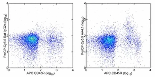 CD93 (AA4.1) Monoclonal Antibody (AA4.1), PerCP-Cyanine5.5, eBioscience