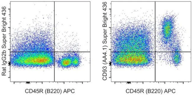 CD93 (AA4.1) Monoclonal Antibody (AA4.1), Super Bright 436, eBioscience