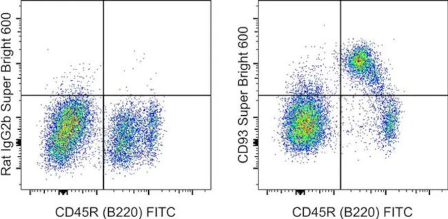 CD93 (AA4.1) Monoclonal Antibody (AA4.1), Super Bright 600, eBioscience