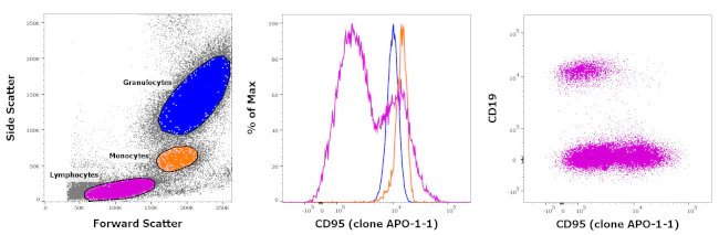 CD95 (APO-1/Fas) Monoclonal Antibody (APO-1-1), FITC, eBioscience
