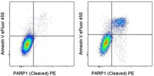 CD95 (APO-1/Fas) Monoclonal Antibody (EOS9.1), Functional Grade, eBioscience